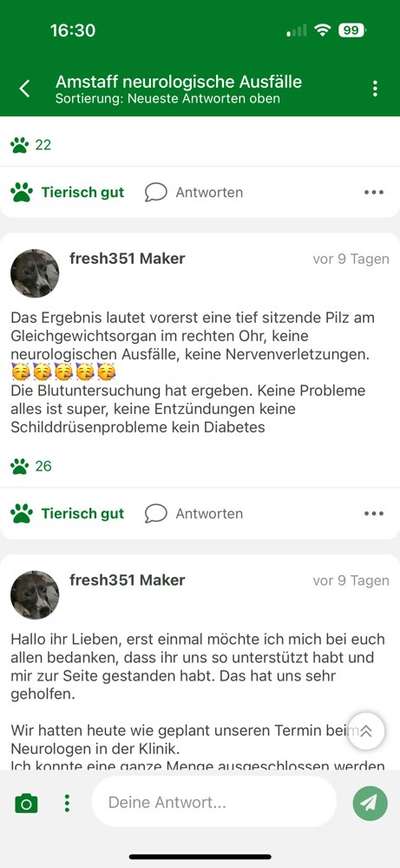 Amstaff neurologische Ausfälle-Beitrag-Bild