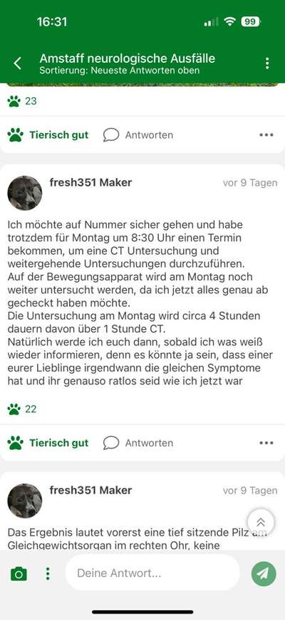 Amstaff neurologische Ausfälle-Beitrag-Bild