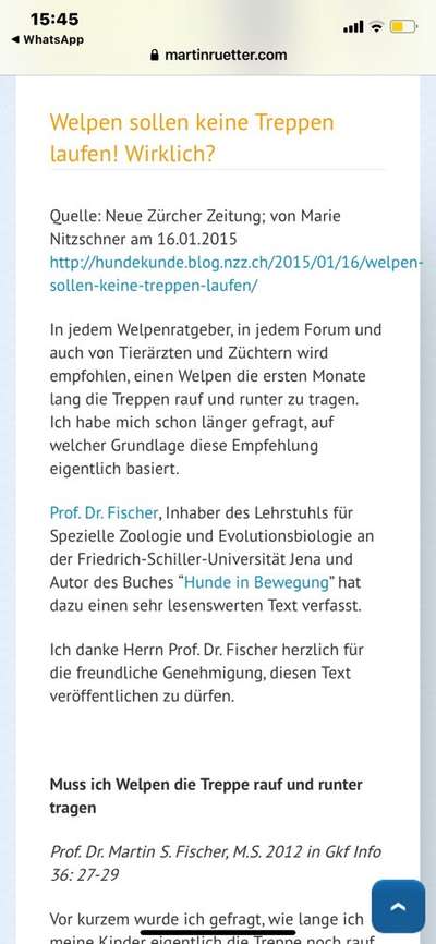 Wie lange die Welpen über die  Treppen tragen-Beitrag-Bild