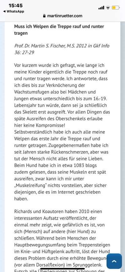 Wie lange die Welpen über die  Treppen tragen-Beitrag-Bild