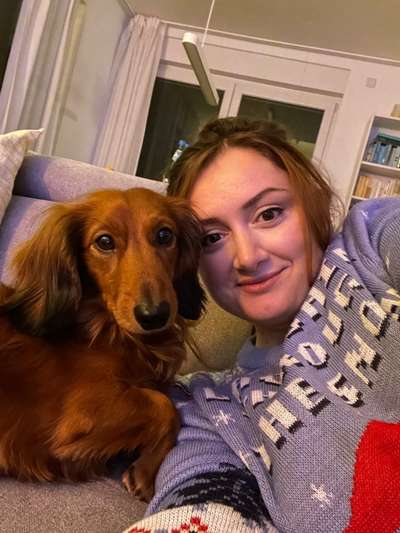 Hundetreffen-Freddi sucht Freunde!-Bild