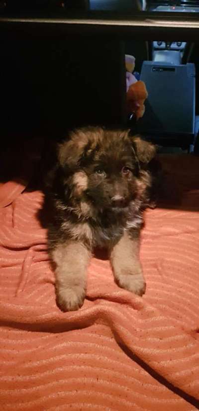 Un...scharf Bilder-Beitrag-Bild