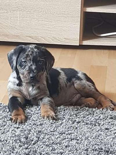 Foto Challenge 3-Beitrag-Bild