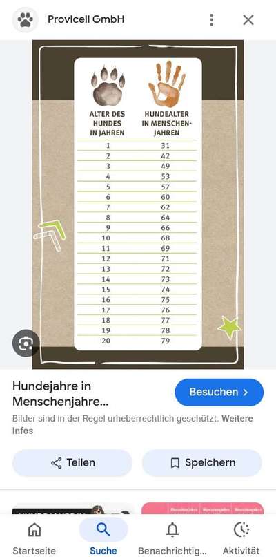 Hundealter in Menschenjahren ??-Beitrag-Bild