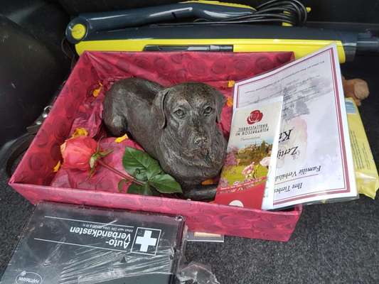 Urne von verstorbenen Haustieren !-Beitrag-Bild