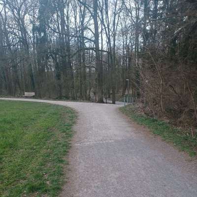 Hundeauslaufgebiet-Werseblick & Naturwege-Bild