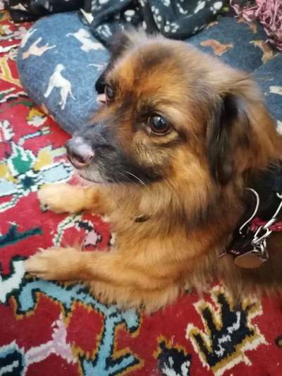 farbveränderung an der Nase-Beitrag-Bild