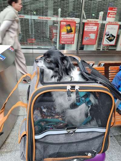 Fotochallenge 101:
On Tour-Beitrag-Bild