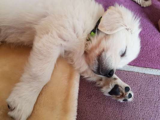 Das erste Foto-Beitrag-Bild