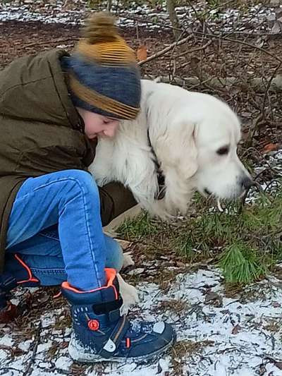 Wo sind die Golden Retriever Liebhaber?-Beitrag-Bild