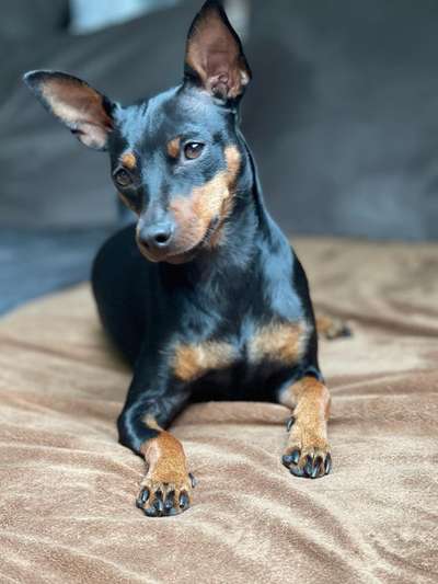 Fotochallenge Glanzbilder,du glänzt so schön-Beitrag-Bild