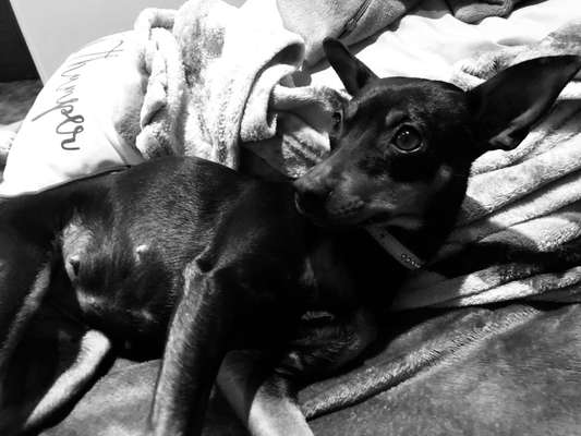 3. Farben/Fotochallenge: Schwarz/Weiß-Beitrag-Bild