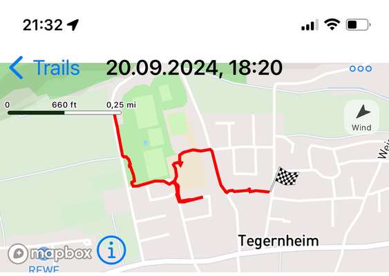 Rhodesian Ridgeback-Beitrag-Bild