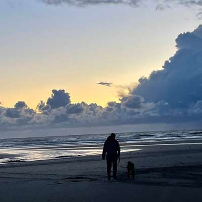 Der allerbeste Urlaub für Hund und Mensch-Beitrag-Bild