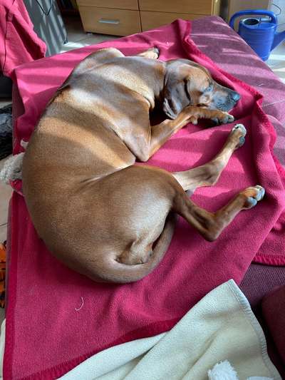 Foto Challenge Nr. 134-Beitrag-Bild