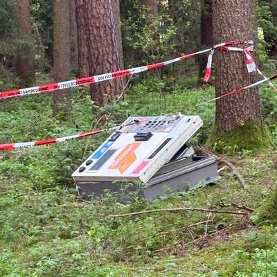 Die besten Gassifunde-Beitrag-Bild