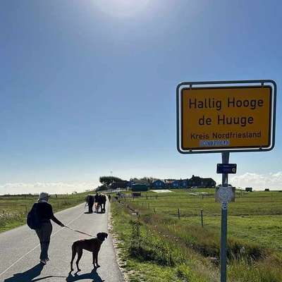 Der allerbeste Urlaub für Hund und Mensch-Beitrag-Bild