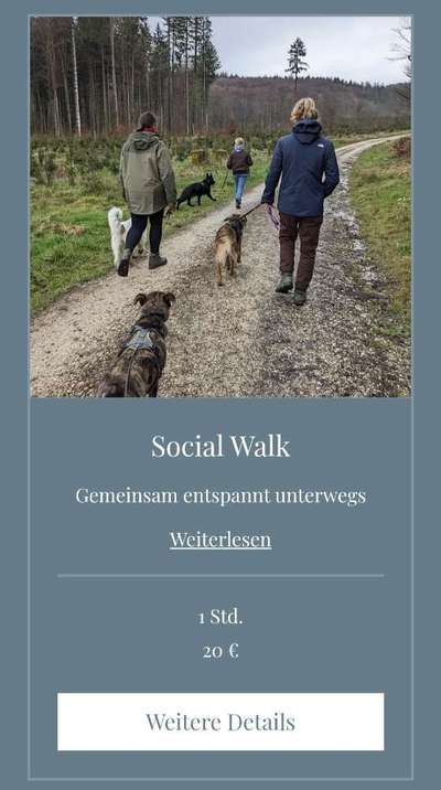 Giftköder-Social Walk-Bild