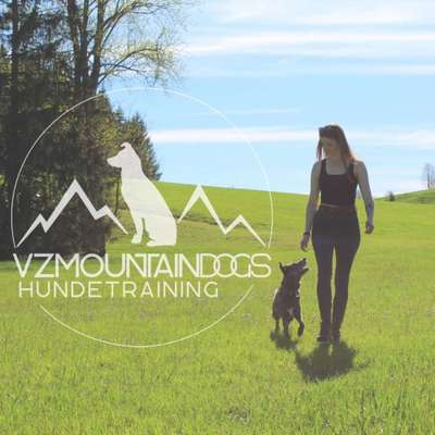 Hundeschule VZMountainDogs in Buchenberg  – Dogorama