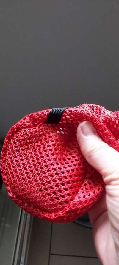 Giftköder-Beitrag-Bild