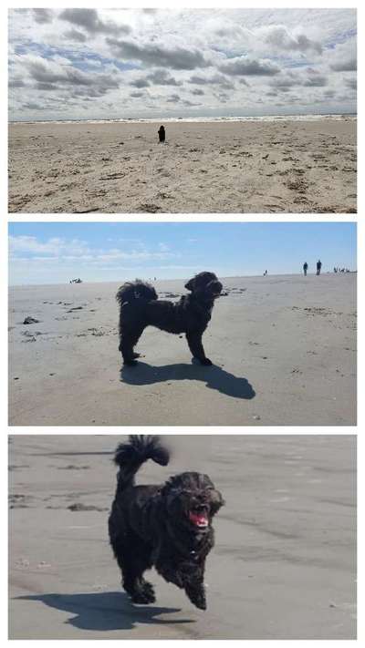 37. Collagen Challenge- Am Strand-Beitrag-Bild