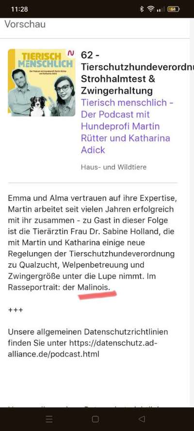 Welche Rasse kann man noch mit guten Gewissen kaufen?-Beitrag-Bild