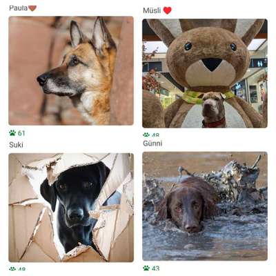 12. Farben Foto Challenge --- Braun-Beitrag-Bild