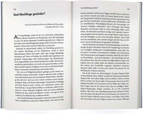 Welche Rasse kann man noch mit guten Gewissen kaufen?-Beitrag-Bild