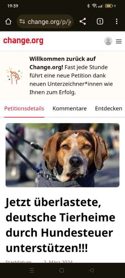 Überfüllte und unterfinanzierte Tierheime – Braucht es politisches Handeln?-Beitrag-Bild