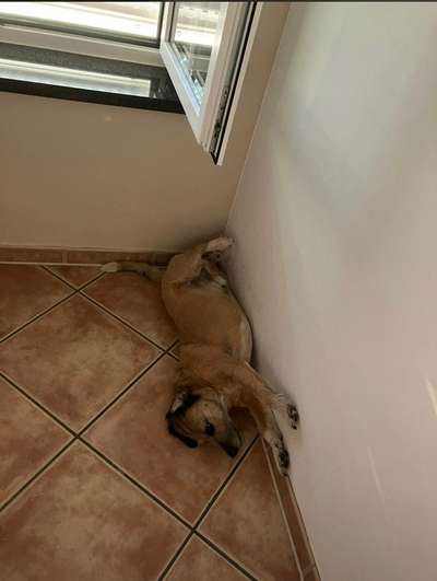 FOTO-Challenge  NR. 91: Die pure Entspannung-Beitrag-Bild