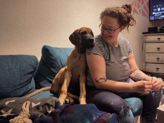 Deutsche Doggen Besitzer zeigt euch-Beitrag-Bild