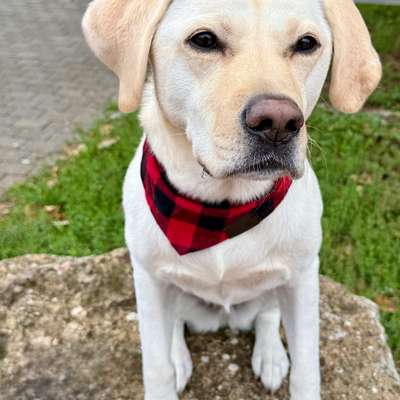 Tipps für Training filmen-Beitrag-Bild