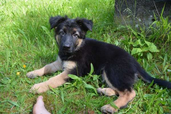 28. Handy-Fotochallenge - Damals und heute-Beitrag-Bild