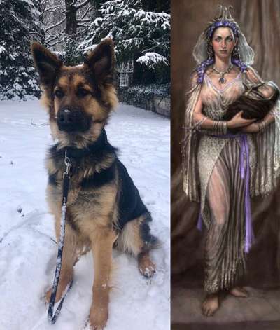 Wie heißt dein Hund?-Beitrag-Bild