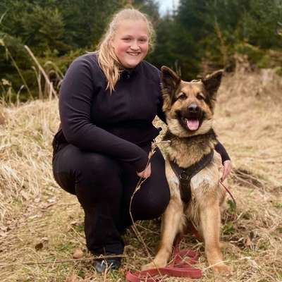 Hundeschulen-Typisch Hundetraining-Bild