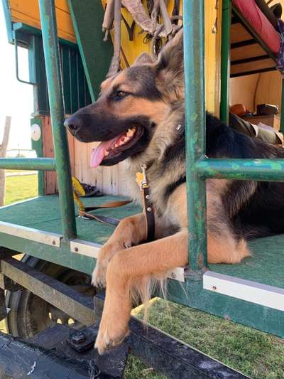 Fotochallenge Nr.100 Urlaubsimpressionen-Beitrag-Bild