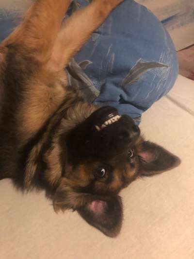 Das beste grinsefoto-Beitrag-Bild