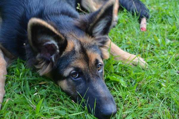 Foto Challenge Nr. 79-Beitrag-Bild