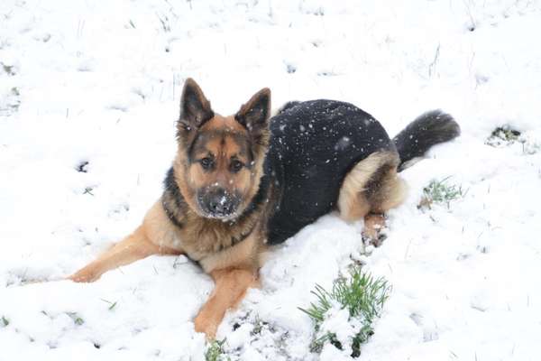 28. Handy-Fotochallenge - Damals und heute-Beitrag-Bild