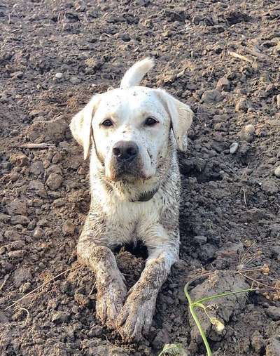 Foto-Challenge Nr. 90: Lebensfreude-Beitrag-Bild