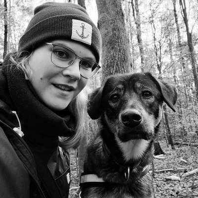 Hundetreffen-Training / gemeinsame Spaziergänge im Oberholz und Umgebung-Profilbild