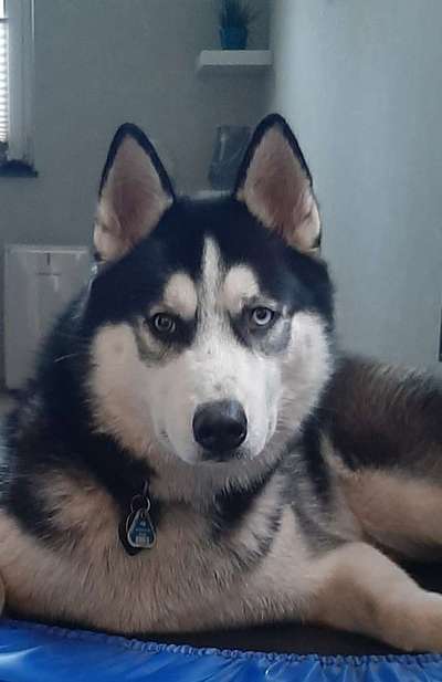 Fotochallange Nr. 57     PORTRÄT.   Beendet!!!!!!!!-Beitrag-Bild