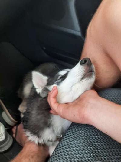 CHALLENGE NR. 34 - Liege-/Schlafpositionen-Beitrag-Bild