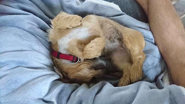 CHALLENGE NR. 34 - Liege-/Schlafpositionen-Beitrag-Bild