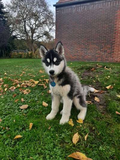 Fotochallange Nr. 57     PORTRÄT.   Beendet!!!!!!!!-Beitrag-Bild