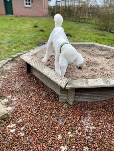 Lieblings "nervige Sprüche"-Beitrag-Bild