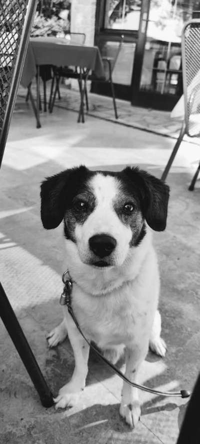 Foto-Challenge 76: Foto in Schwarz-Weiss-Beitrag-Bild