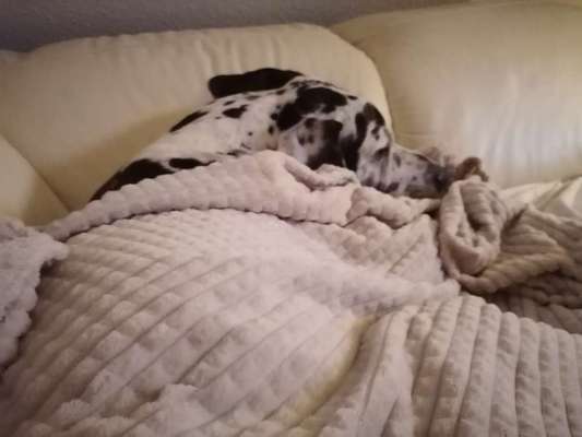 Fotochallange - Eingekugelt-Beitrag-Bild