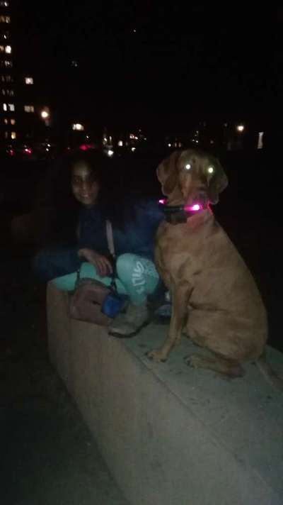 Zeigt mir eure Lieblingsfotos ♡♡-Beitrag-Bild