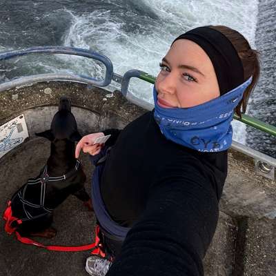 Hundetreffen-Hundefreunde gesucht-Bild